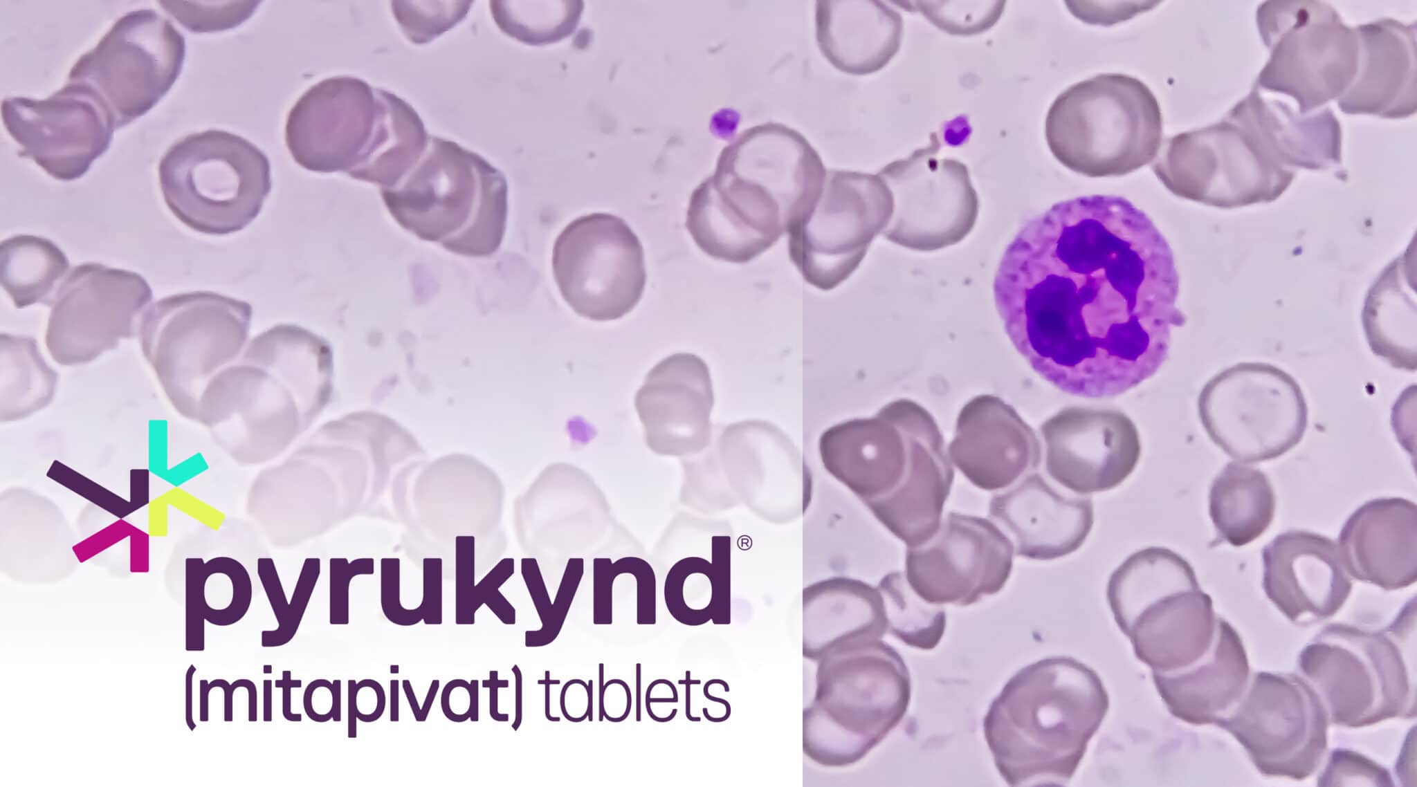 FDA Approves Pyrukynd For Rare Anemia Anton Rx Report